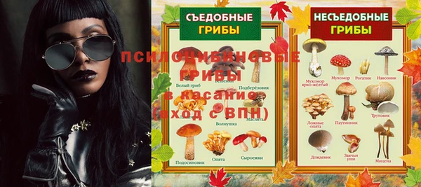 гидра Абинск
